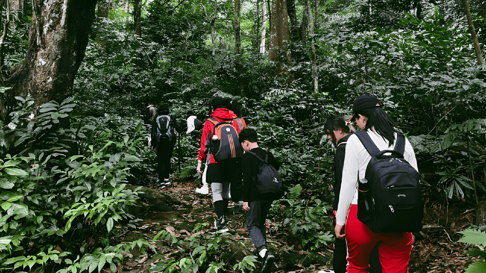 Hành Trình Trekking Cúc Phương Hang Múa và Hoa Lư